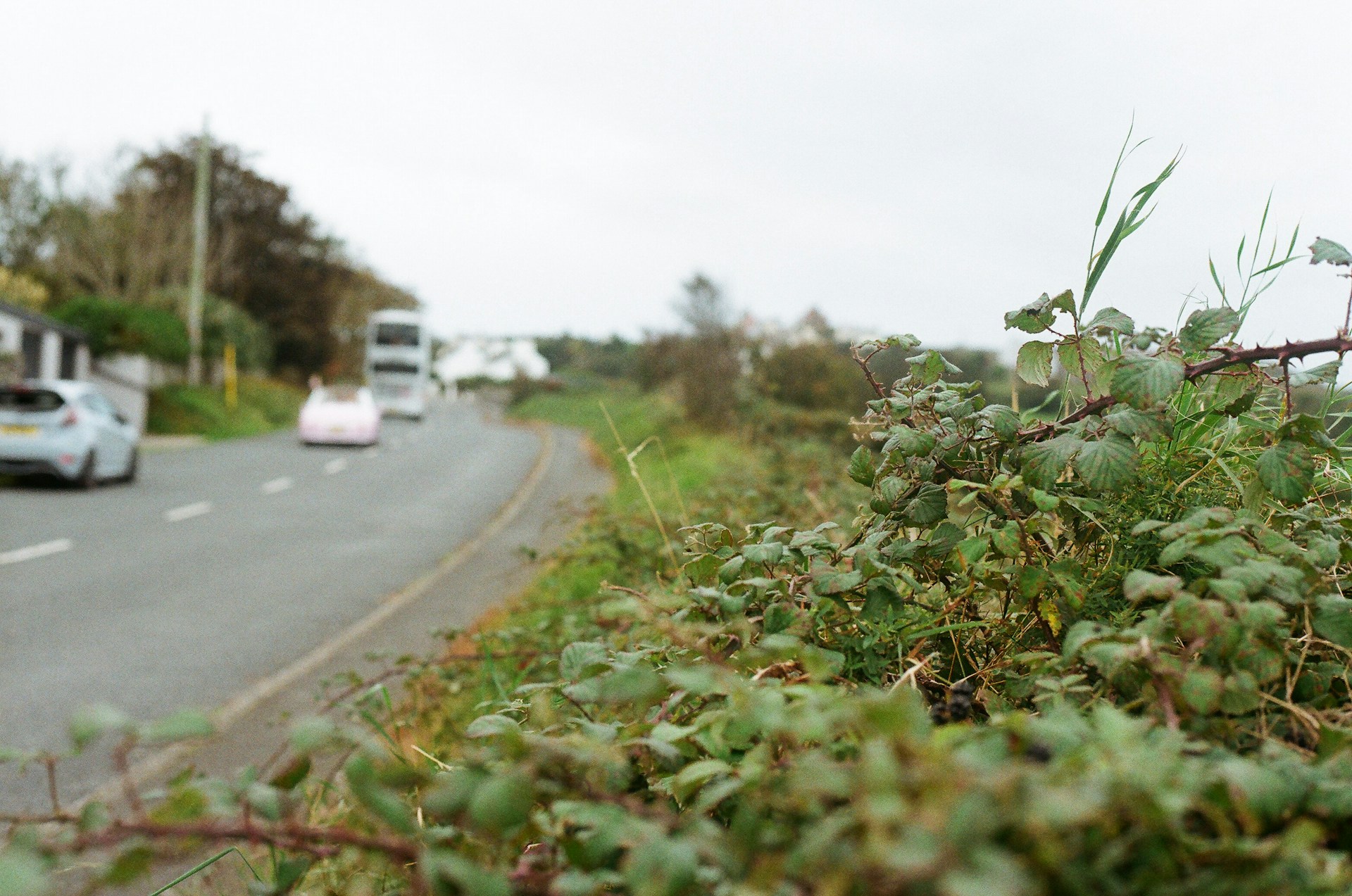 ROADSIDE BUSH CLEARING (3KM)